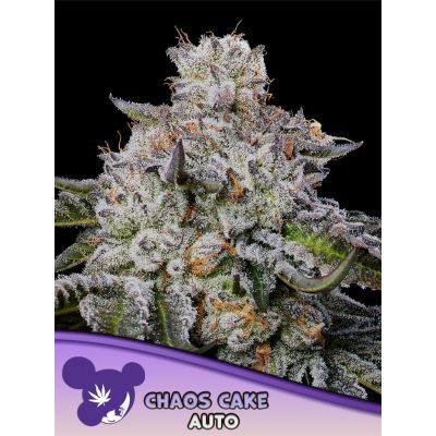 Chaos Cake Auto