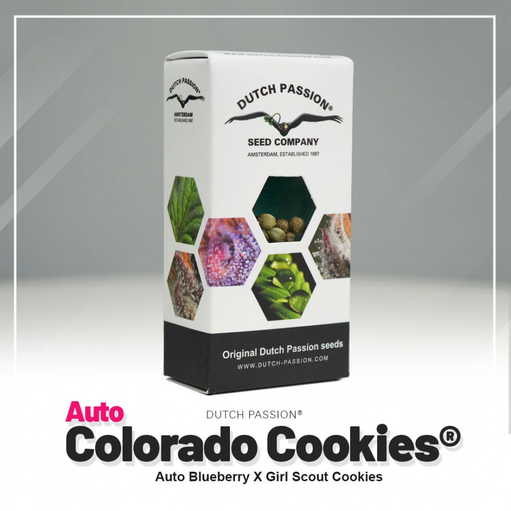 Dutch Passion Colorado Cookies Auto Hanfsamen Verpackung