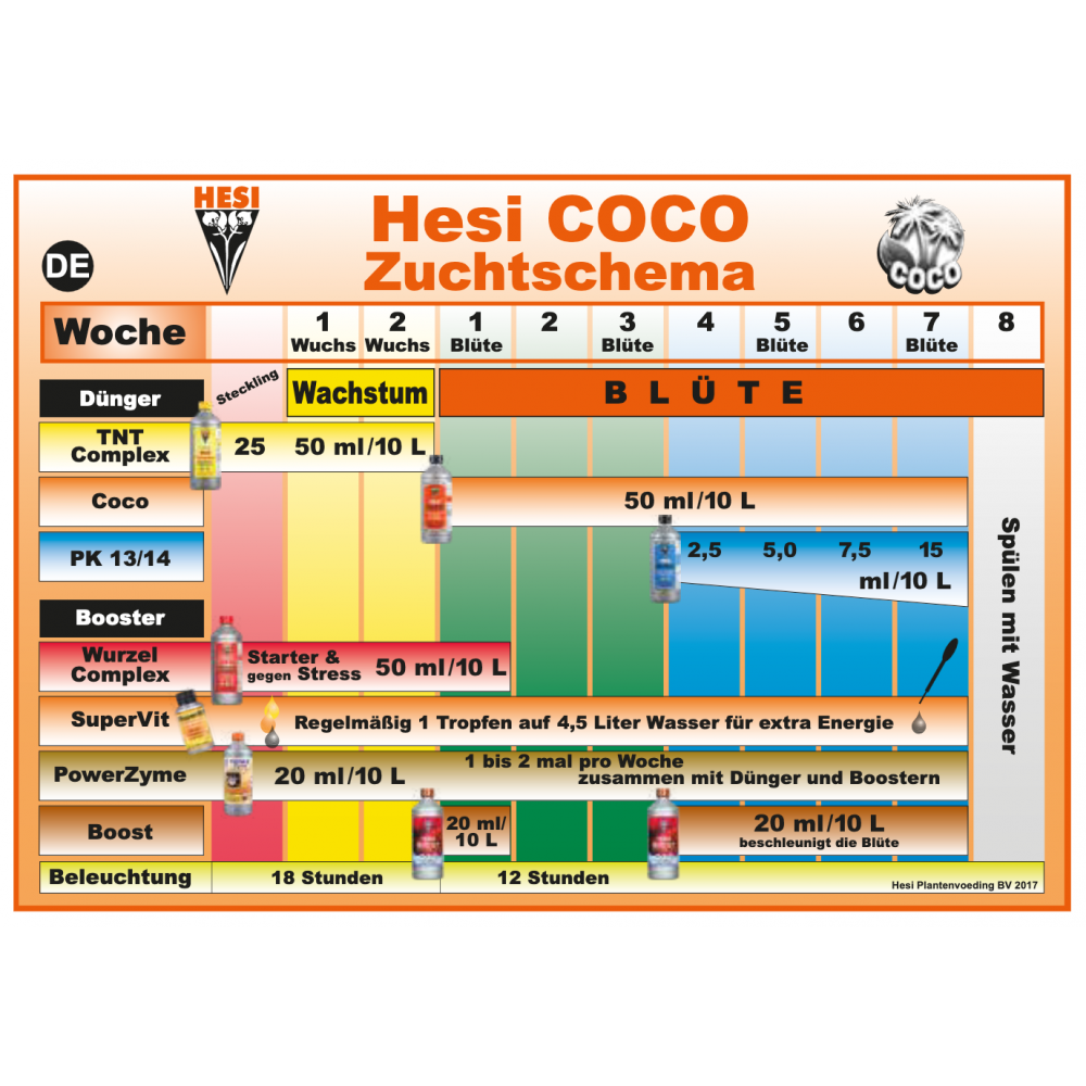 Hesi Coco Schema
