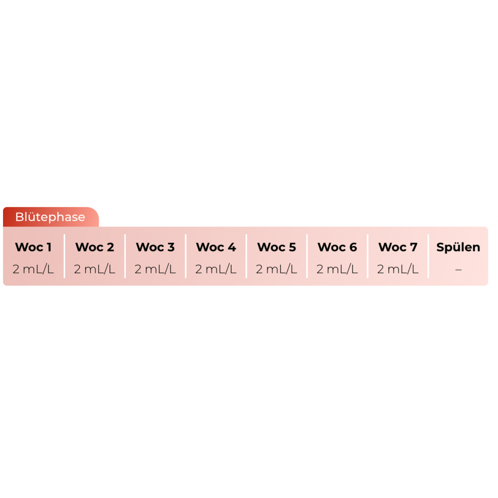 Bud Factor X Dünger Schema