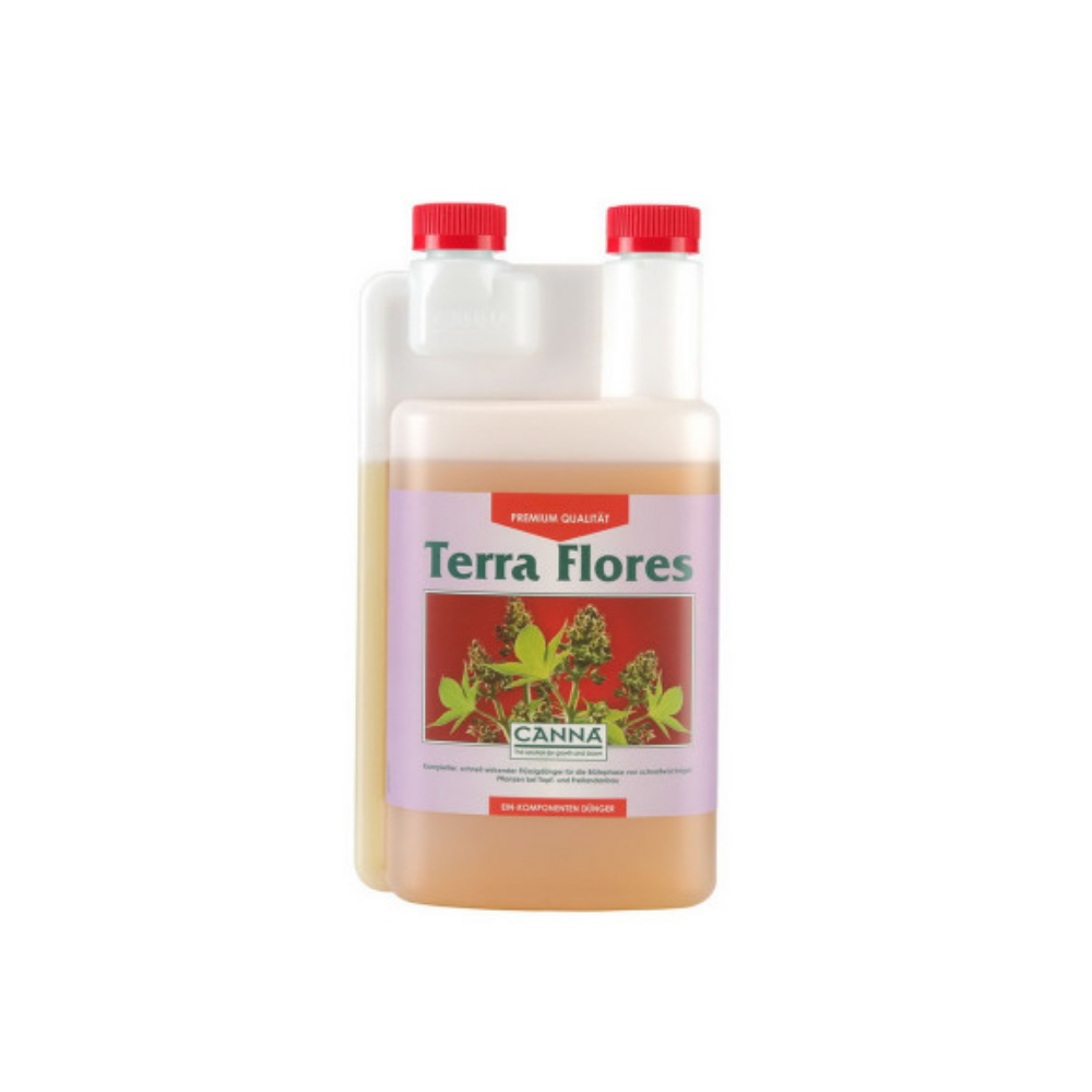Tera Flores