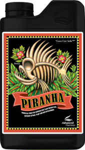 Piranha