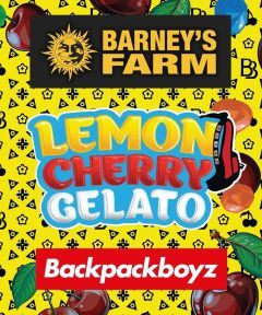 Lemon Cherry Gelato Feminisiert