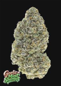 420 FastBuds Banana Purple Punch RF3 Automatic Hanfsamen