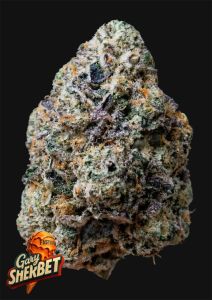 420 FastBuds Banana Purple Punch RF3 Automatic Hanfsamen