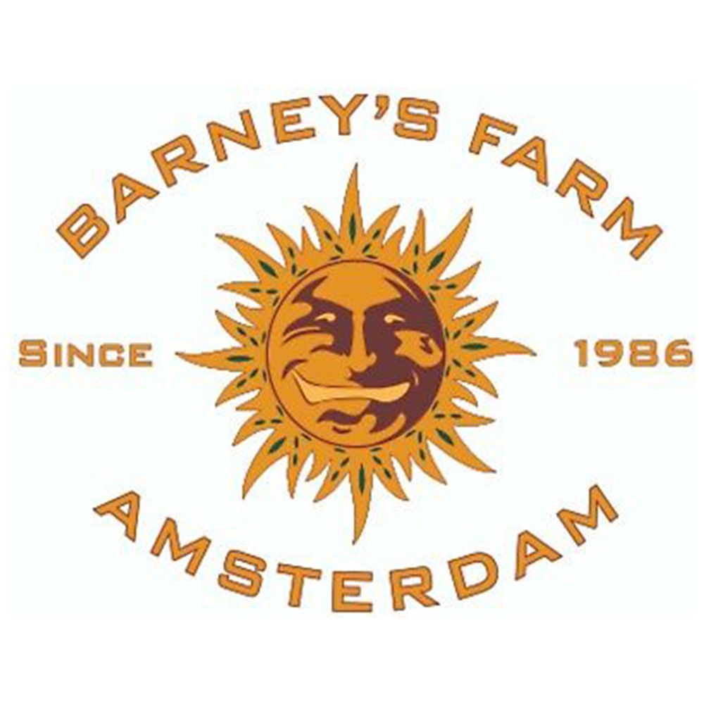 Seeds24 Barneys Farm Hanfsamen