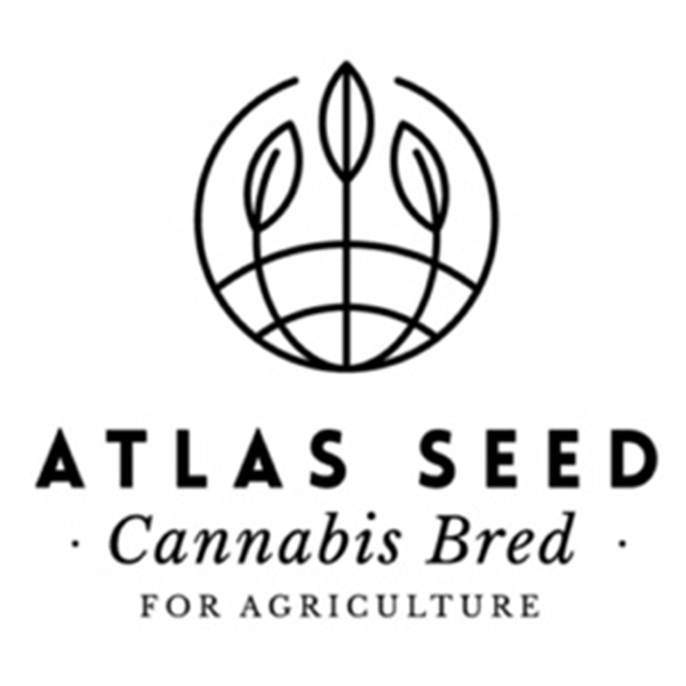 seeds24-atlas-seeds01