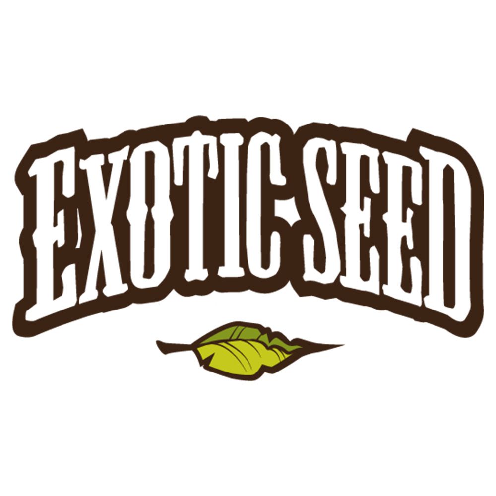 Seeds24 Exotic Seed Hanfsamen