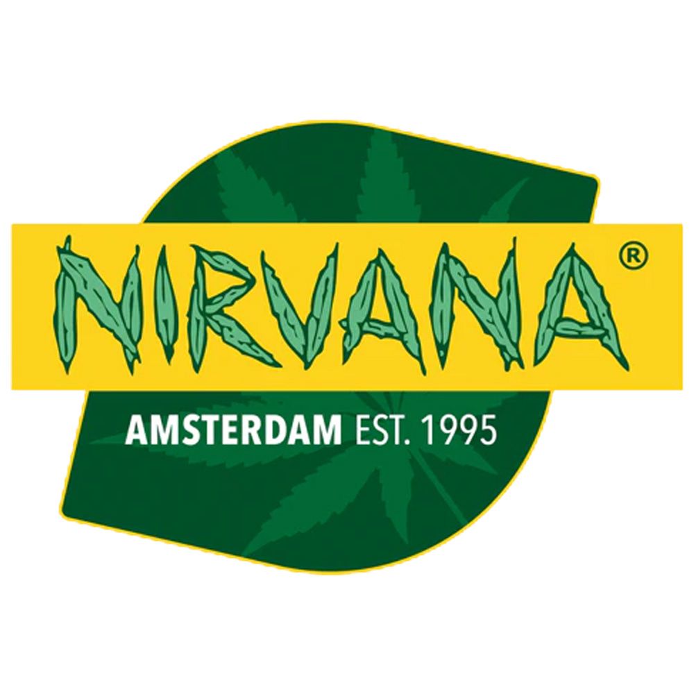 Seeds24 Nirvana Seeds Hanfsamen