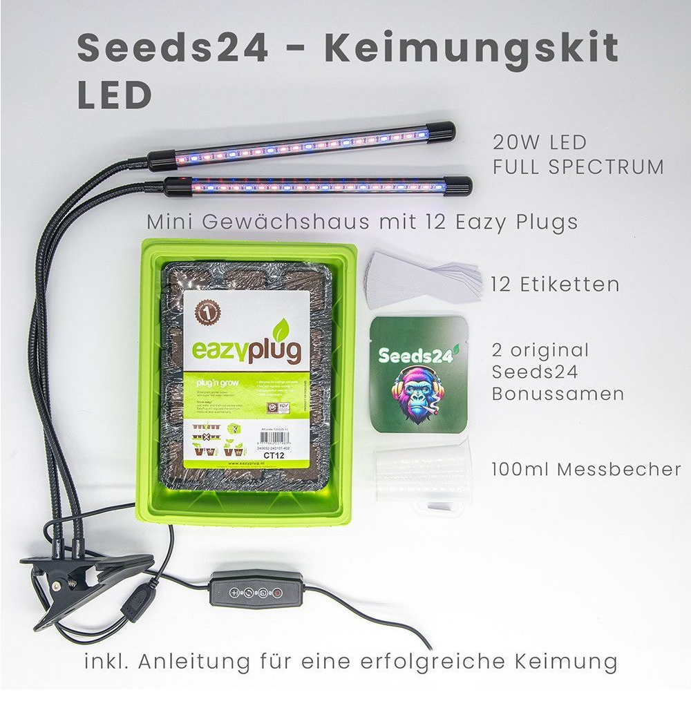 Seeds24 Keimungskit